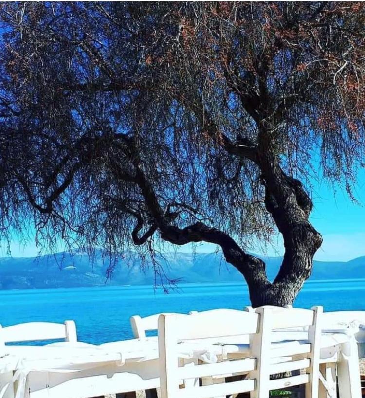 Eratous Seaside House Villa Agii Dimitrios ke Panteleimon Exterior photo
